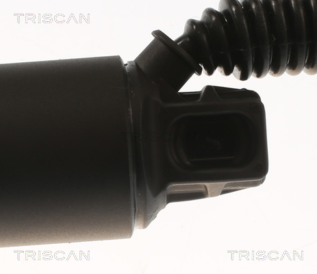 Tailgate strut Triscan 8710 29312