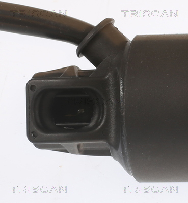 Tailgate strut Triscan 8710 29313