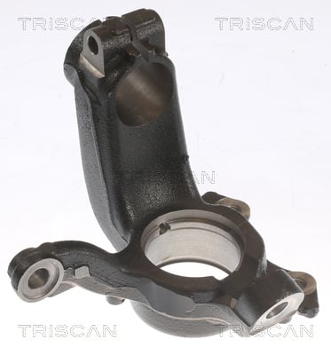 850029721 Triscan Knuckle swivel