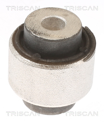 850081805 Triscan Silent block