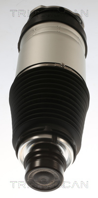 Air Spring, suspension Triscan 8720 81101