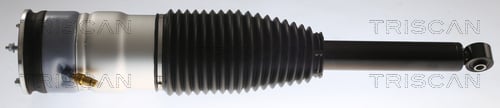 Air suspension Tesla: 872081201 Triscan Air Spring, suspension