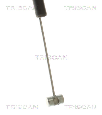 Bonnet Cable Triscan 8140 11602