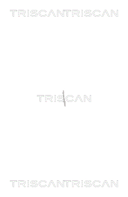 Wheel Bearing Kit Triscan 8530 82002