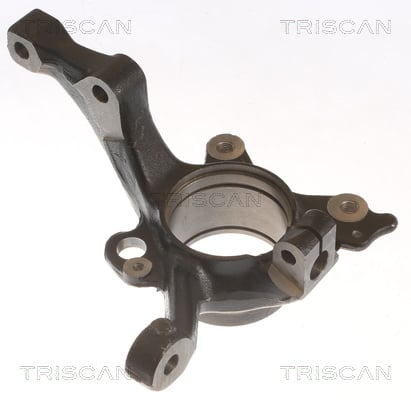 850029717 Triscan Knuckle swivel