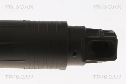 Tailgate strut Triscan 8710 11312