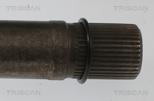 Buy Triscan 854010558 – good price at EXIST.AE!
