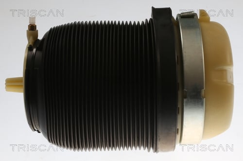 872029202 Triscan Air Spring, suspension