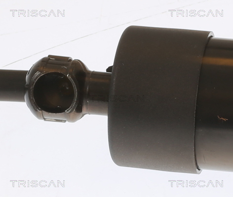 Tailgate strut Triscan 8710 29303