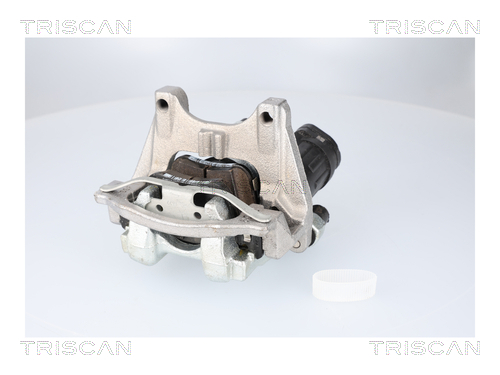 Buy Triscan 8175 82204 at a low price in United Arab Emirates!