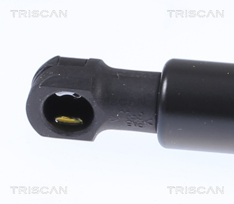 Buy Triscan 8516 16024 at a low price in United Arab Emirates!