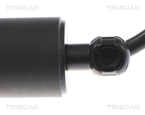 Tailgate strut Triscan 8710 43301