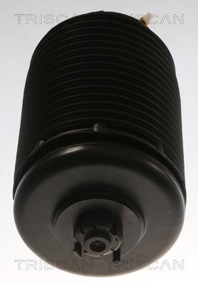 Triscan Air Suspension Strut – price 906 PLN