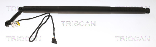 871011311 Triscan Tailgate strut