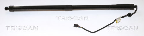 Buy Triscan 9010 11001 at a low price in United Arab Emirates!