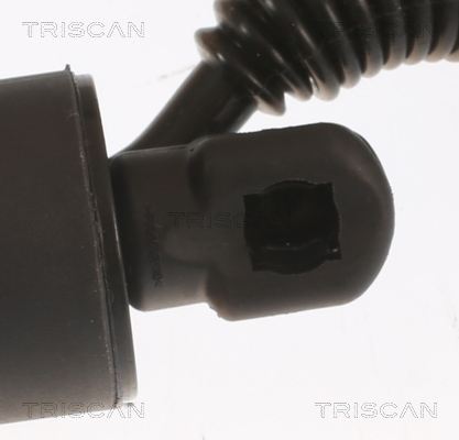 Buy Triscan 871029306 – good price at EXIST.AE!