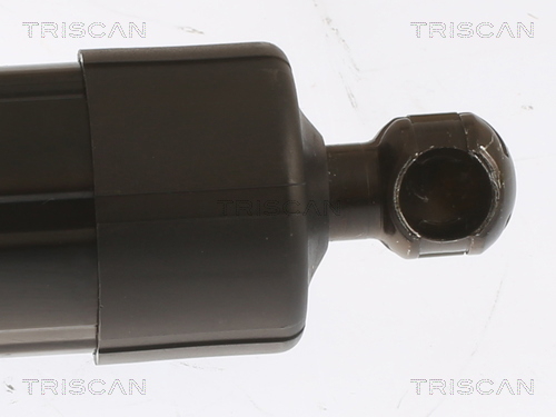 Buy Triscan 871029303 – good price at EXIST.AE!