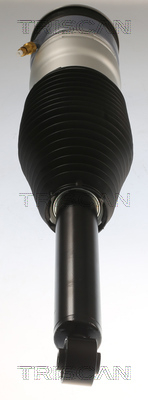 Air Spring, suspension Triscan 8720 81202