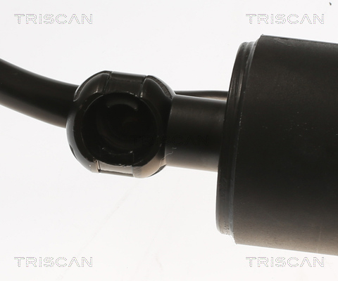 Tailgate strut Triscan 8710 43302