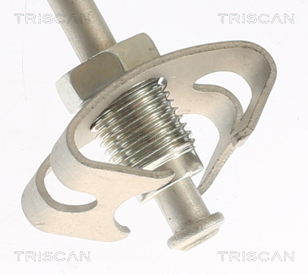 Brake hose Triscan 8150 282006
