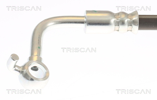 Brake hose Triscan 8150 431013