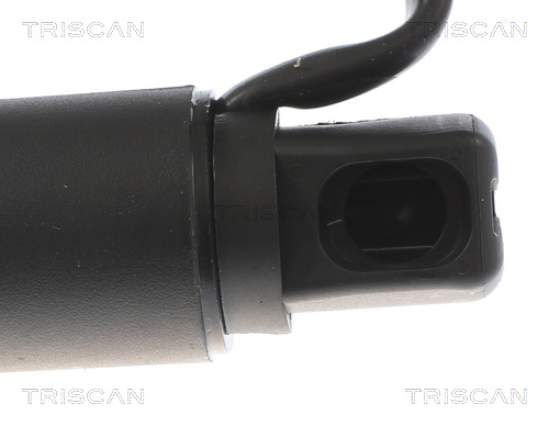 Tailgate strut Triscan 8710 23304