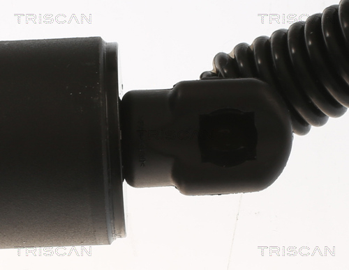 Tailgate strut Triscan 8710 29306