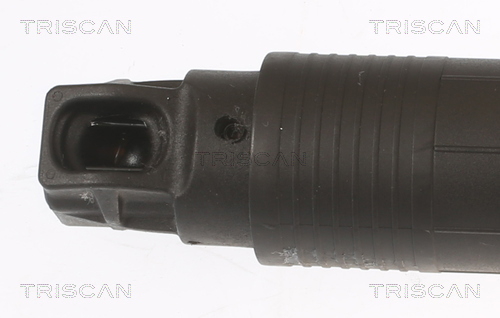 Tailgate strut Triscan 8710 29304