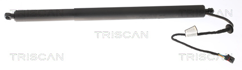 Boot gas struts Hyundai: 871043301 Triscan Tailgate strut