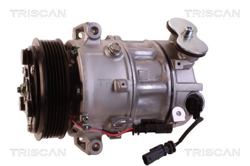 Buy Triscan 8140 29754 at a low price in United Arab Emirates!