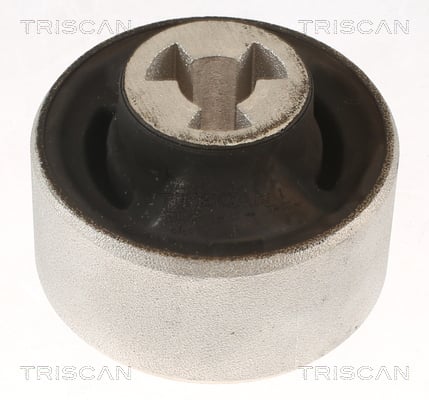 Suspension arm bushing Tesla Model Y: 850081804 Triscan Hob Lever