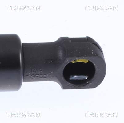 Buy Triscan 8516 16030 at a low price in United Arab Emirates!