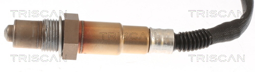 Splash Guard, brake disc Triscan 8125 29286
