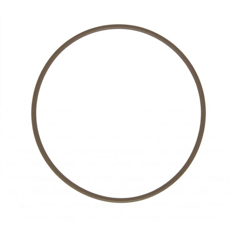 16031100 Ajusa Intake manifold gasket