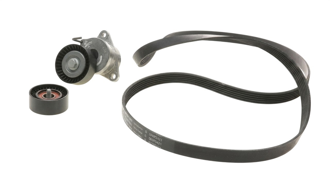 Drive belt kit Chevrolet: 529034810 INA Drive belt kit