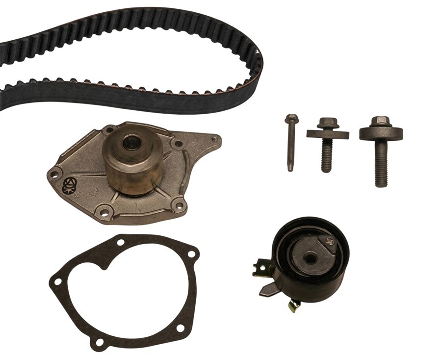 Cambelt kit Renault: 530019730 INA TIMING BELT KIT WITH WATER PUMP