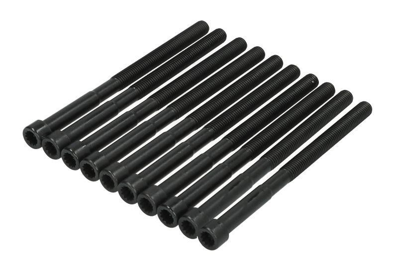 Cylinder head bolt kit KIA Optima (Kia Optima): 141219601 Victor Reinz Cylinder Head Bolts Kit