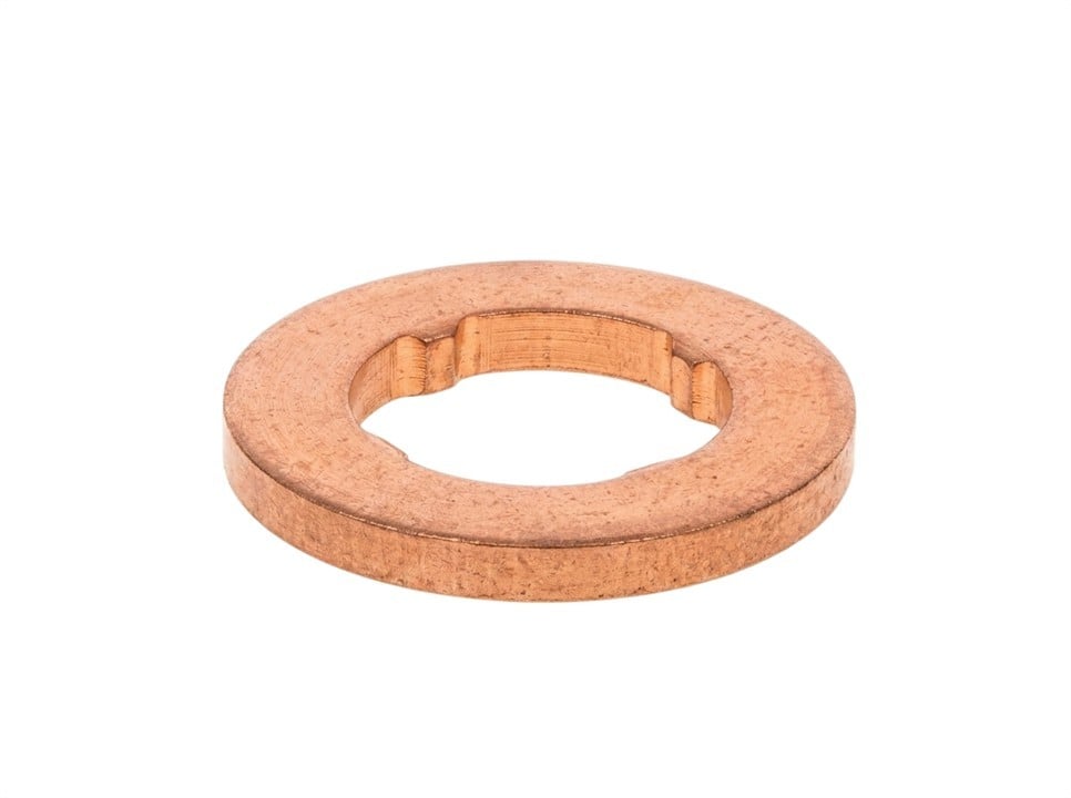 F00VP01004 Bosch Fuel injector gasket