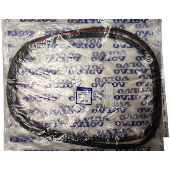 32229250 Volvo Door seal