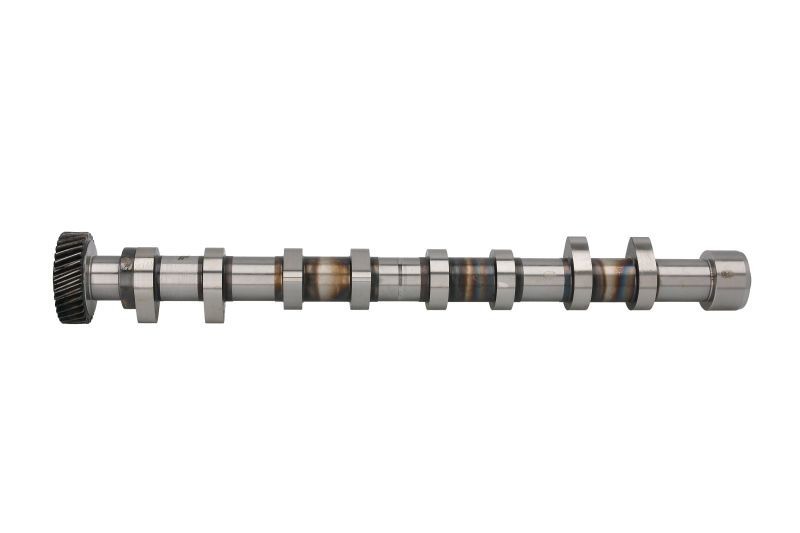 Camshaft Chevrolet: CM052138 Freccia Camshaft