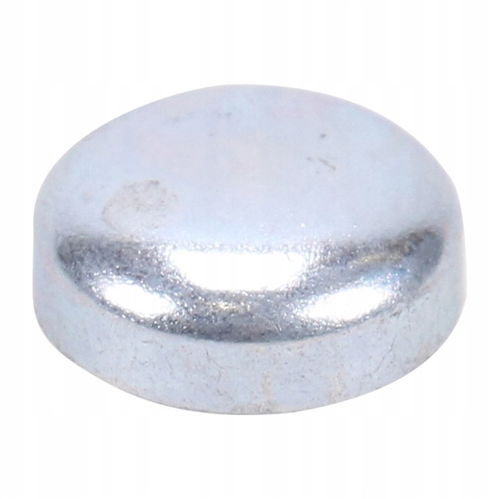 55189942 Fiat/Alfa/Lancia Plug of a back cover of a check point
