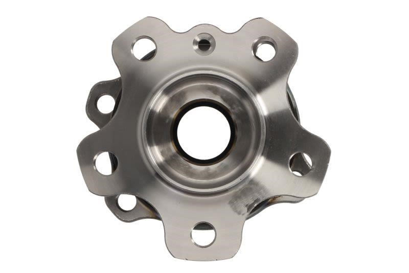 Wheel hub with rear bearing Borsehung B11295