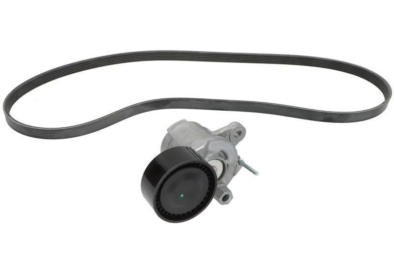 Drive belt kit DS: 529037910 INA V-Ribbed Belt Set