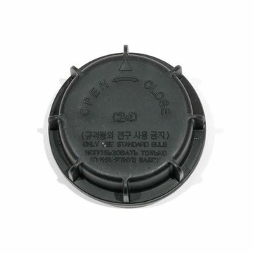 9216339000 Hyundai/Kia Cap, spot light