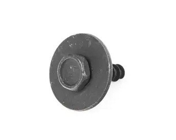 07149481168 BMW Screw
