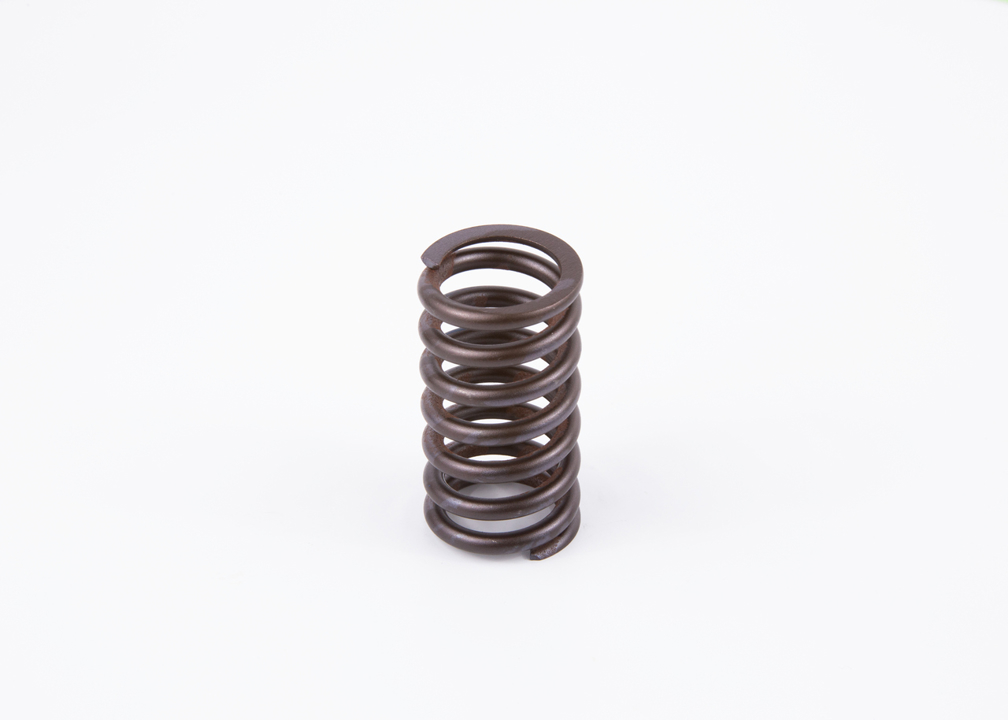 2434614048 Bosch Valve spring