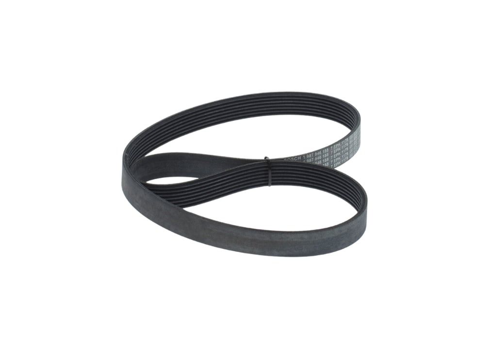 Alternator belt Renault Express: 1987946158 Bosch Poly-V belt