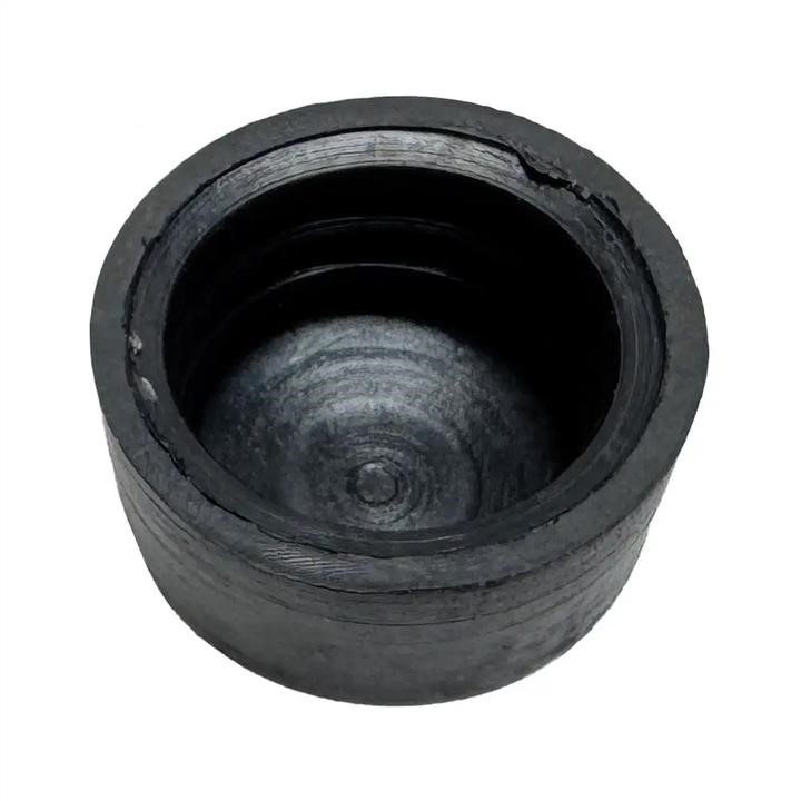 W710461S300 Ford Wiper arm plug