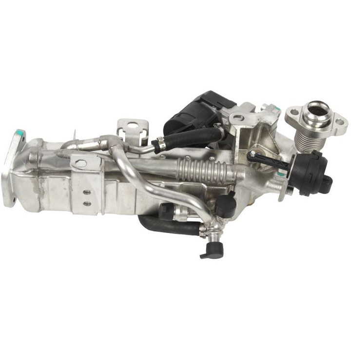 Exhaust system BMW X6 (E71, E72): 12100050 Abakus Cooler, exhaust gas recirculation