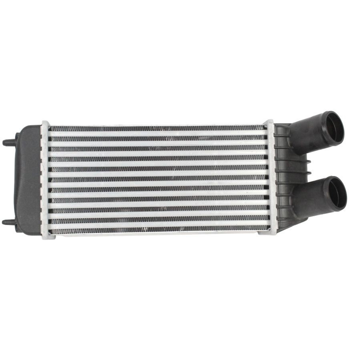 Turbocharger intercooler Lancia Phedra: 0160180019 Abakus Intercooler, charger